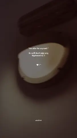 🤍 