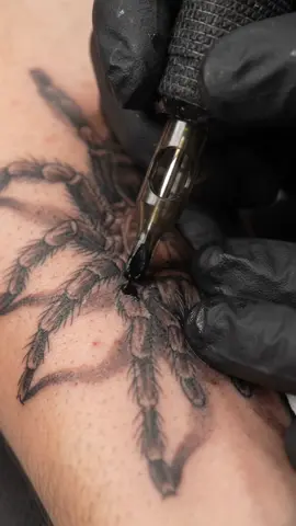 Title: 🕷️ This 3D Tarantula Looks Like It’s Crawling Off the Skin! 😳🔥 #Tattoo #TarantulaTattoo #3DTattoo #RealismTattoo #RealisticTattoo 