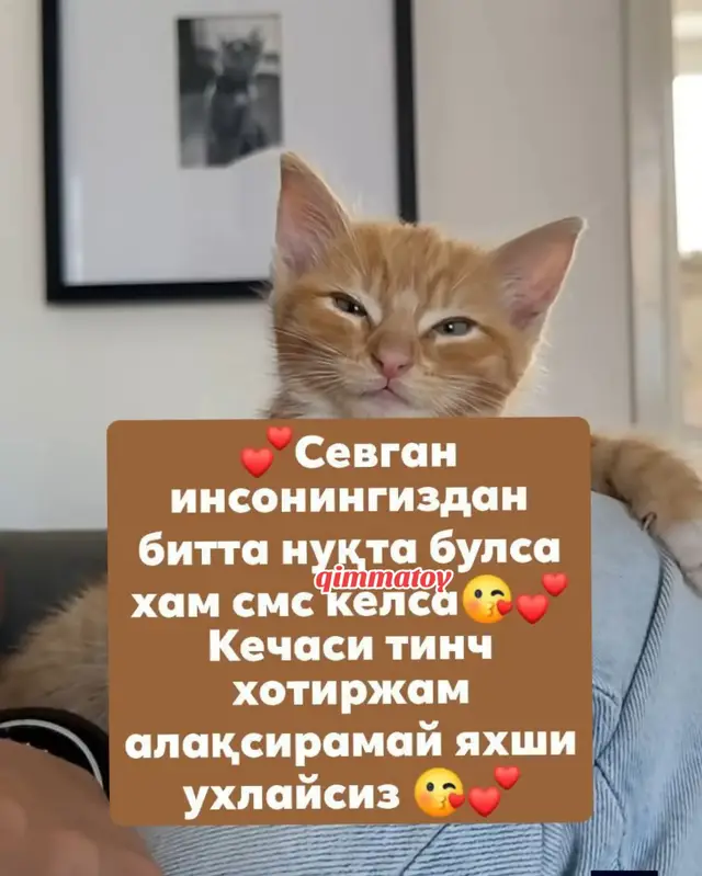 #🤣🤣🤣🤣🤣🤣🤣🤣🤣🤣🤣🤣🤣🤣🤣🤣 #🤣🤣🤣🤣🤣🤣🤣🤣🤣🤣🤣🤣🤣🤣🤣🤣 