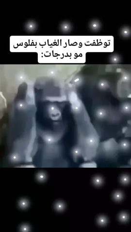 يعد برج المملكة واحدًا من أبرز المعالم المعمارية في الرياض، ورمزا حديثا يعكس تطور المملكة العربية السعودية العمرانية منذ افتتاحه، أصبح البرج وجهة رئيسية للسكان والزوار، ليس فقط لارتفاعه المميز بل أيضًا لما يقدمه من مرافق متنوعة وتجربة فريدة. تم افتتاح برج المملكة عام 2002، وهو مشروع تابع لشركة شركة المملكة القابضة التي يملكها الأمير الوليد طابقا، ما جعله لفترة طويلة أحد أطول المياني في الشرق الأوسط، تضميمه الفريد الذي يشتبه فتحة القوسة فلي عط أعلاه يميزه عن بقية ناطحات السلحاب، وقد صمد ليكون تحفة معمارية تجمع بين الحداثة والهوية المحلية. يضم البرج مجموعة واسعة من المرافق منها مكاتب إدارية، وشقق سكنية فاخرة، بالإضافة إلى فندق فورسيزونز الرياض الذي يعد من أفخم الفنادق في المدينة. كما يحتوي على مركز تسوق ضخم يعرف باسم مملكة مول، ويضم العديد من العلامات