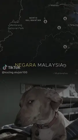 Episentrum Api Kalimantan 2026: Mengungkap Dominasi Titik Panas di Area Konsesi Korporasi