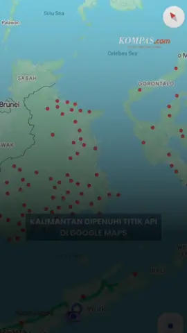 Tragedi Ekologis atau Panggung Politik? Krisis Empati di Balik Asap Kalimantan