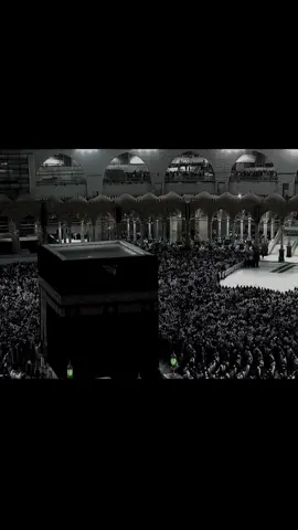 ياسر الدوسري سورة النمل ﴿أَمَّن يُجيبُ المُضطَرَّ إِذا دَعاهُ وَيَكشِفُ السّوءَ وَيَجعَلُكُم خُلَفاءَ الأَرضِ أَإِلهٌ مَعَ اللَّهِ قَليلًا ما تَذَكَّرونَ﴾ #ياسر_الدوسري #تلاوة_خاشعة #قران_كريم #قران #الشعب_الصيني_ماله_حل😂😂 