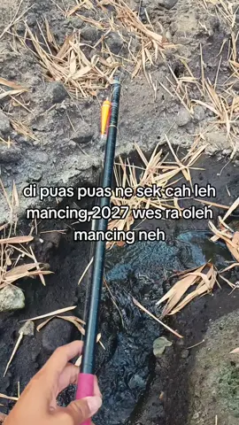 #mancing #nargetbeles #fishing #fyp 