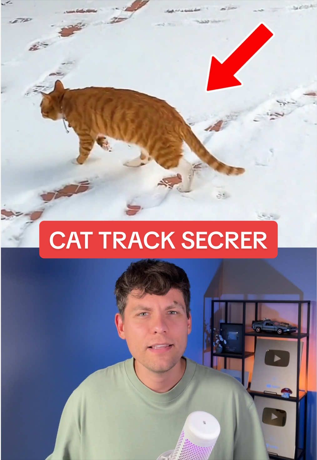 Cats have four legs—so why do their tracks sometimes look like they were made by only two? Cats use a precise walking technique called direct registering. Each back paw lands almost exactly where the front paw just stepped, giving the cat safer footing while reducing noise and visible tracks. It may look like a simple walk, but every step reveals the instincts of a silent hunter. Have you ever noticed your cat doing this? #Cats #CatFacts #Animals #Nature #Science 