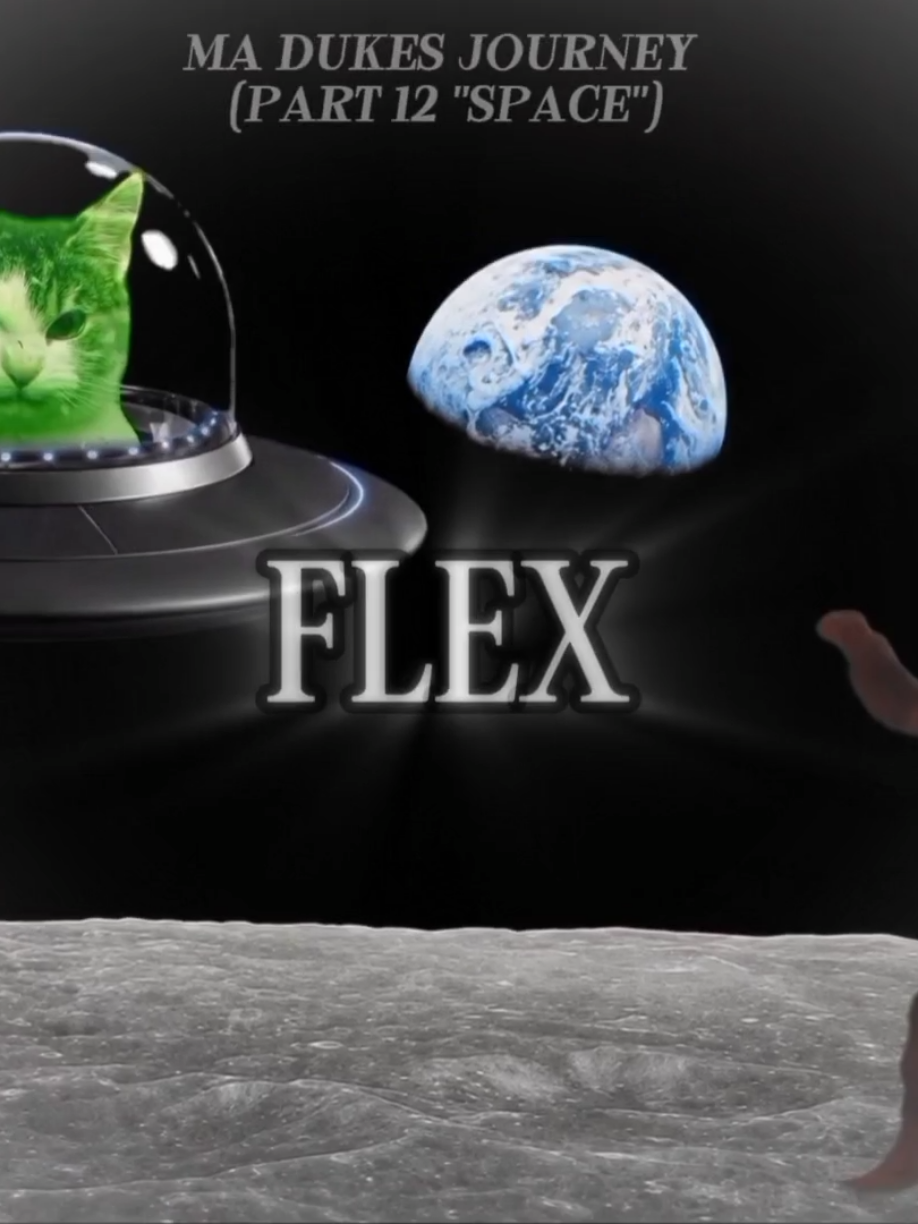 Space cat VS Ma Dukes  (Part 3) #haymaker #madukes #dog #tiktok #viral 