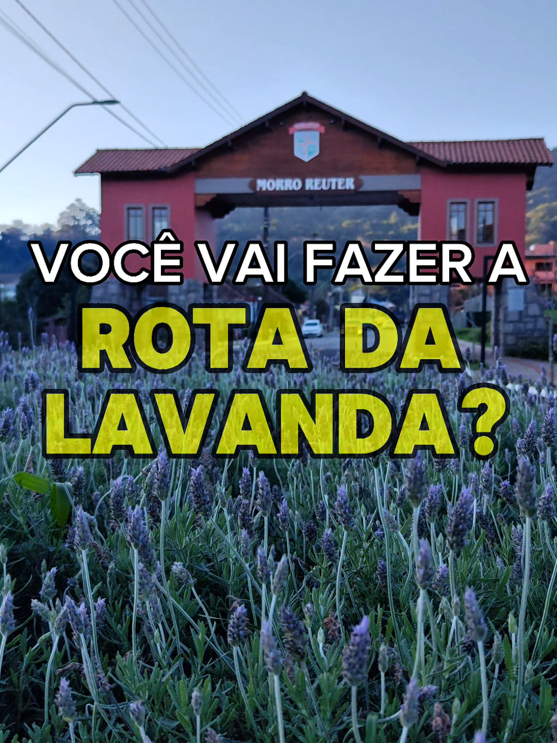 Uma dica super preciosa para você que vai fazer a rota da lavanda e Morro Reuter na Serra Gaúcha. #morroreuter #turismoserragaucha #fernandoebeling #aromaterapia 