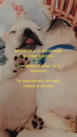 Teamomiamor #fyp #papita #amoaminovia #viral #ilovemygf 