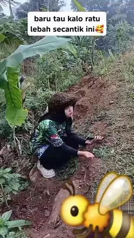 Ratu tawon