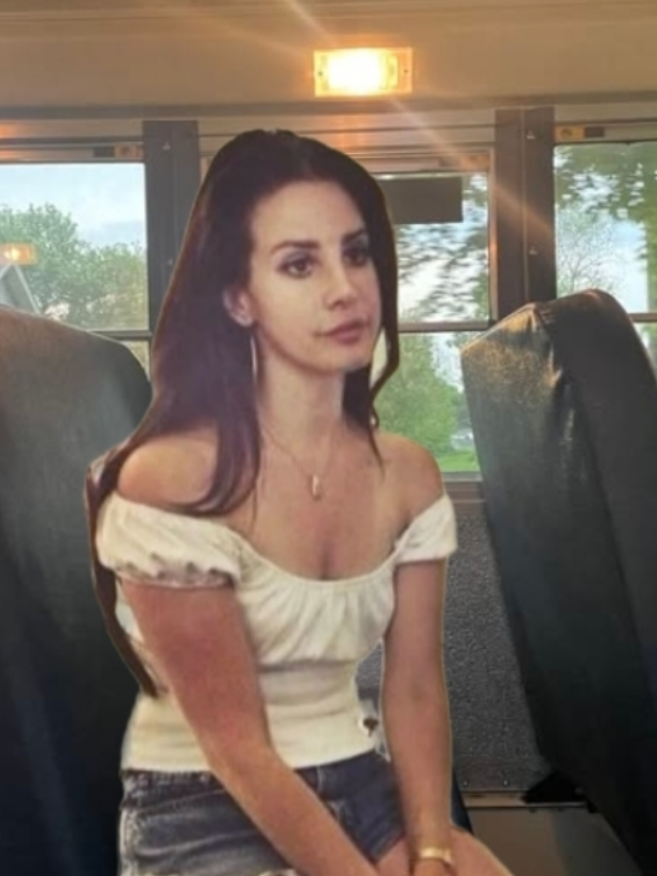 i cant take it anymore #lanadelrey #highschool #lanatok #reletable #fyp 