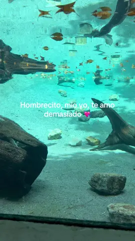 #paratiiiiiiiiiiiiiiiiiiiiiiiiiiiiiii #loveyou #💘💘#amor #fyp 