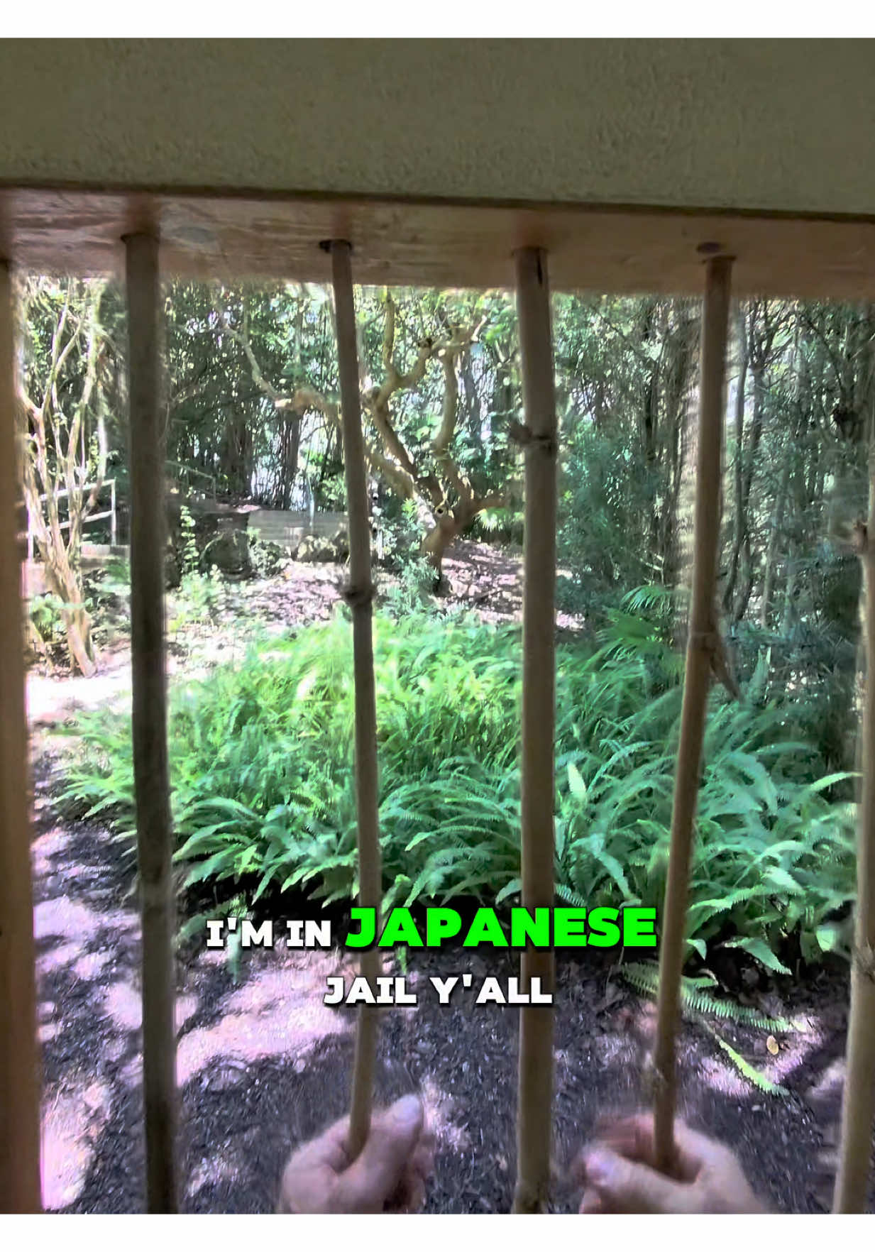 Hidden Japan in Delray? Today was arrival and theater. Follow for part two: the gardens. 