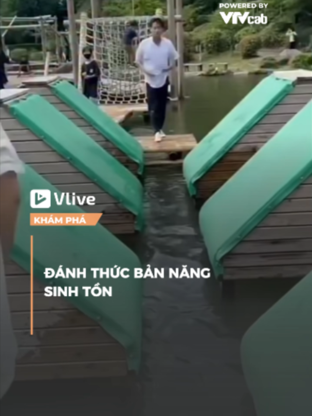 Đánh thức bản năng sinh tồn #vlivekhampha #khampha #onlive #vlive #vtvcab #hnn