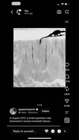 What if #darkcontinent #hxh #Antarctica #artic #lizard 