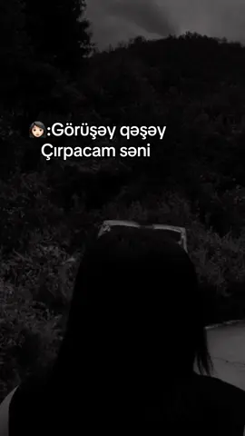 Əslində olan 🤣🤣🤣Sadəcə vidiyo xoşuma gəldi elə birisi yoxdu ❤️‍🩹#fyppppppppppppppppppppppp #keşfetteyizzzzzzzz #fypシ゚viral 09:13