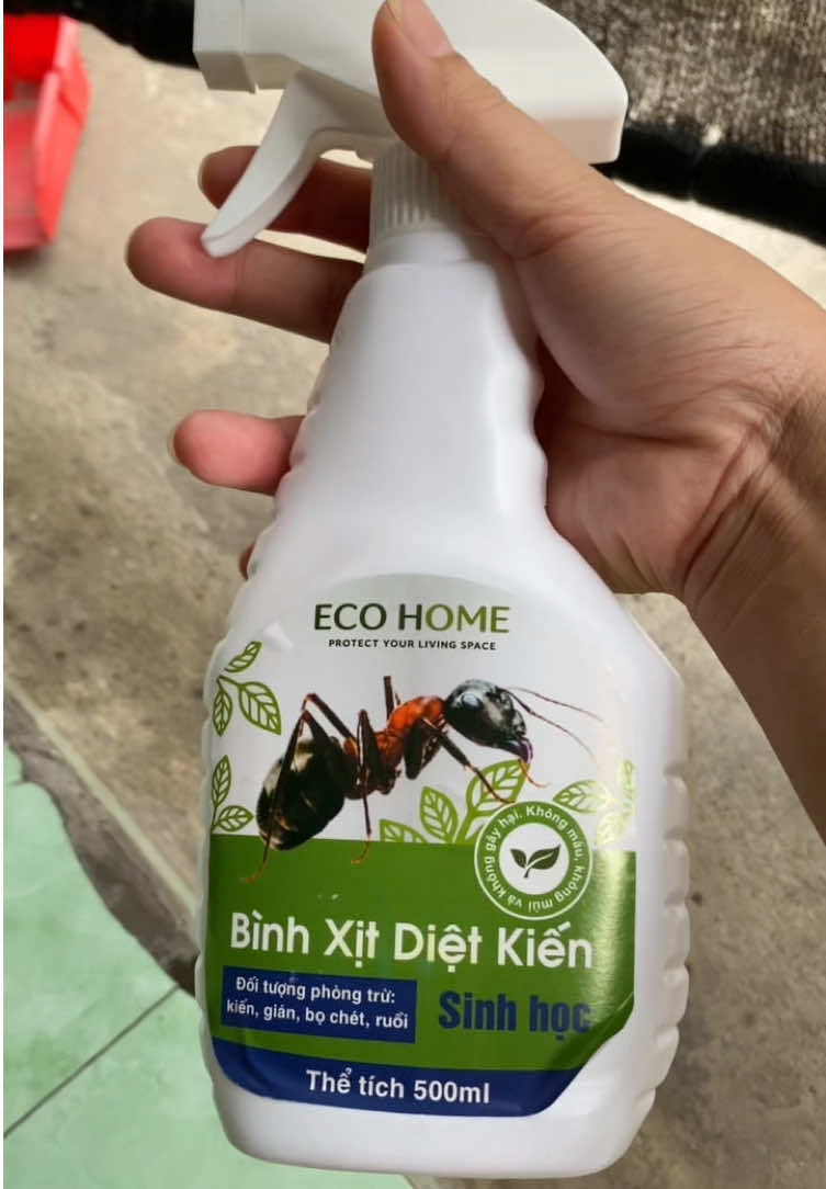 👍 không mùi, không hôi . mình dùng thấy ok lắm mn #dietkien #thuocdietcontrung #xitkien #xitkiengiansinhhoc 