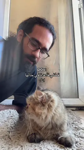 البتنجان أخد القطة في حتة تانية!!❤️🐱🤷🏽‍♂️😂😂#foryoupage #fypシ゚ #fyp #viral #الزوزز 