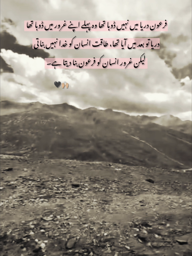 True line's || repost plz 🥺💔 #deeplines #poetrystatus #unfreezemyacount #unfreezemyacount #unfreezemyacount 