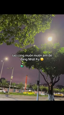 #nhattrung_08🌷 #ddnxuhuong 