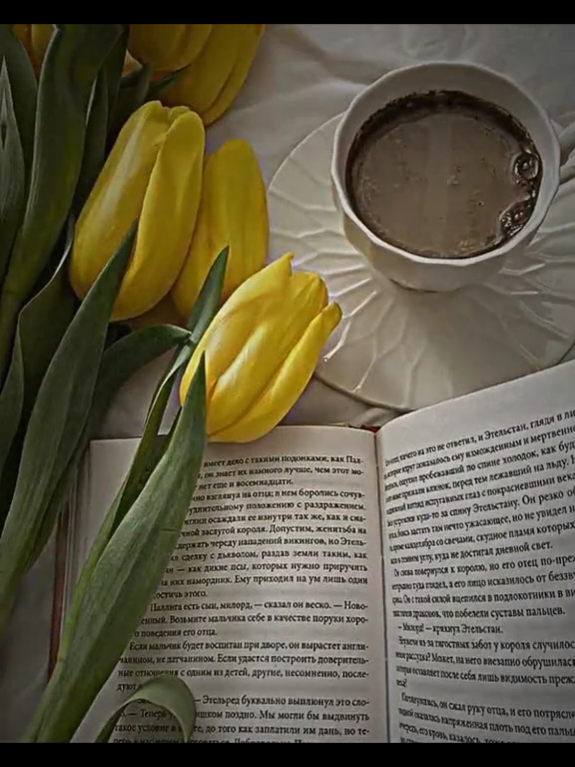 ချစ်နေဆဲပါ#crush #စာတို #tulips #fyp #views 