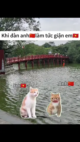 Thật sao vậy?#tiktok 