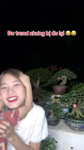 Đu trend nhưng ko thành. 🤭 Cả nhà vào xem cây ngắm hoa với em nha. #bonsai# #lequyen #xuhuong 
