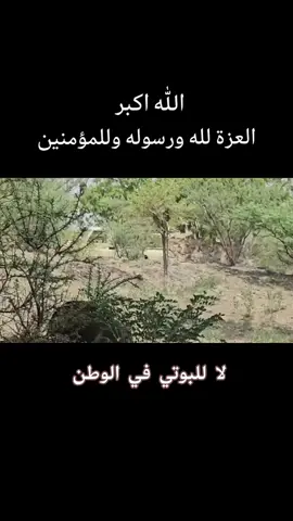 #الكليه_العسكريه_مصنع_الابطال #عسكري #تعز_عشقي #مقبنه تشتد المعارك في مقبنه والحكومه تسيطر على مواقع للمليشيات 