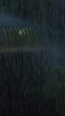 Heavy Rain + Thunder = The Ultimate Sleep Sound ⛈️😴 Having trouble shutting your brain off? Put on these relaxing rain and thunderstorm sounds, get comfortable, and let the storm create the perfect atmosphere for sleep and relaxation. 🌧️💤 #SleepSounds #RainForSleep #ThunderSounds #DeepSleep #InsomniaRelief       