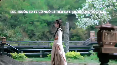 chuyện tình cảm lạnh của tiểu sư thúc và sư tỷ của anh=)))  #llh_angles🥀 #shn_angels🕊️ #tthykn #hnyinoz #suhuynhthaionkien 