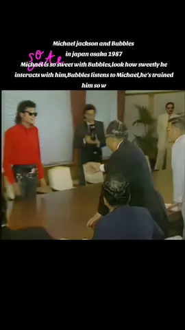 Michael ist so lieb zu Bubbles ,schau nur, wie zärtlich er mit ihm umgeht; Bubbles hört auf Michael , er hat ihn so gut erzogen. #michaeljackson #kingofpop #foryoupage #fyp #viralvideo 