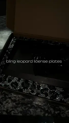 This license plate frame is EVERYTHING 😍✨ The rhinestones + leopard print combo is giving luxury, girly & boujee all at once 🐆💎 definitely a cute way to make your car stand out! #licenseplateframe #caraccessories #carfinds #cartok #cartokfinds          