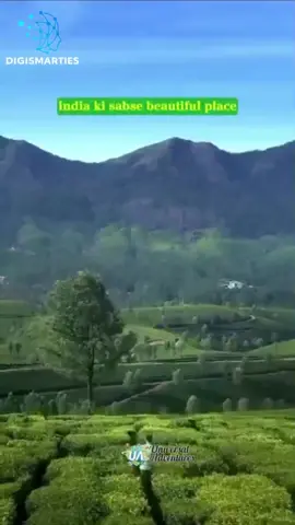🌴✨ Kerala — where every journey feels like a dream! 🌊💚 From peaceful backwaters and lush green landscapes to golden beaches and unforgettable sunsets, Kerala has it all. 🛶🌅 📍 Kerala, India ✈️ Planning your next getaway? Save this reel & follow Digismarties for more travel inspiration! 🌍 #KeralaTourism #KeralaTravel #IncredibleIndia #TravelReels #IndiaTravel #TravelInspiration