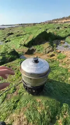Monté un hotpot en plena orilla y lo llené con lo que me fue regalando el mar: un cangrejo rojo cargado de hueva, un calamar enorme y unos abulones de roca. Al pez globo y a la estrella de mar solo los saludé y los devolví al agua 🌊 Comer el mar recién sacado del mar no tiene precio. #赶海 #mariscar #mariscos #pescaenlaorilla #hotpot  