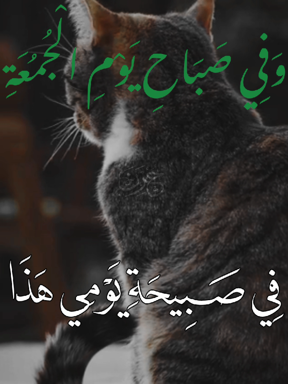 اللهم صل على محمد وال محمد . . . . . . . . . . . . . #م  #تصميم_فيديوهات🎶🎤🎬