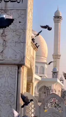 ❤اللهم صلي وسلم وبارك علي سيدنا محمد وعلي اله عدد كمال الله وكما يليق بكماله❤