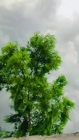 #Baran 🌧️🌧️wareki 💔🥹 #viralvideoforyou💔🥹 #viralvideopaleezforyou  #.🥹💔 #foryouvideo💔🥹 
