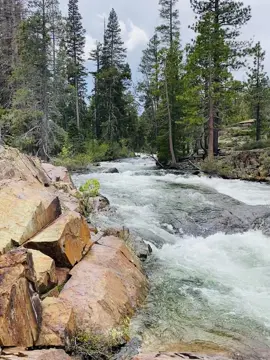 #california #laketahoecalifornia #ex #nature #forest 
