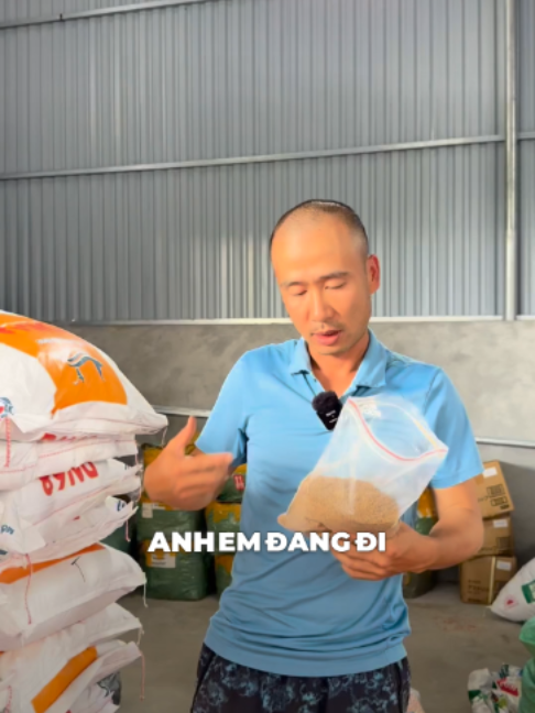 Cám nền tổng hợp câu các loại cá cho ae trải nghiệm #camnentonghop #camnen #moicautonghop