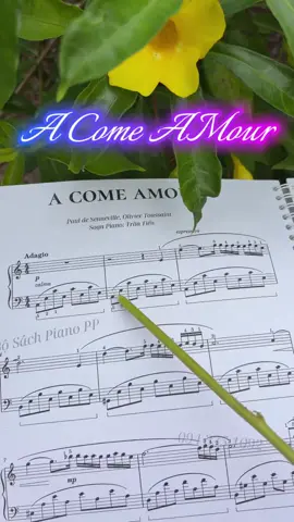 🎹 A Comme Amour – một giai điệu lãng mạn và đầy cảm xúc ❤️ Bản phối trong Piano PP Plus 5 được Trần Tiến phối soạn lại theo hướng dễ chơi, phù hợp với nhiều người học Piano, nhưng vẫn giữ trọn nét đẹp và tinh thần của tác phẩm gốc. 🎼✨ Một giai điệu quen thuộc – nay trở nên gần gũi hơn với người chơi Piano. 💜 #PianoPPPlus5 #ACommeAmour #TranTienPiano #PianoSheet