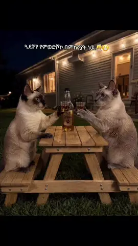 🥂😁@꧁fቾ❦ባለ♰ᬊᬁማህᬊ᭄ተቧ❦♰᭄♰꧂ 