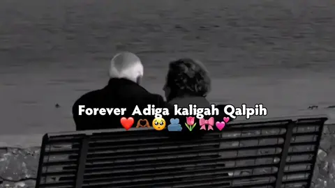 me and you qalbi 🤣😭#47_shadow_0 