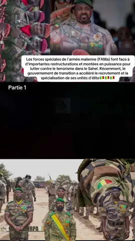 #tiktokmalienne💚💛🧡🇲🇱moi  #tiktokafrique🇹🇬🇨🇩🇨🇮🇧🇯🇬🇦🇨🇲🇬🇦  #debloquemesvue🥲🙏🏽republie🦋 