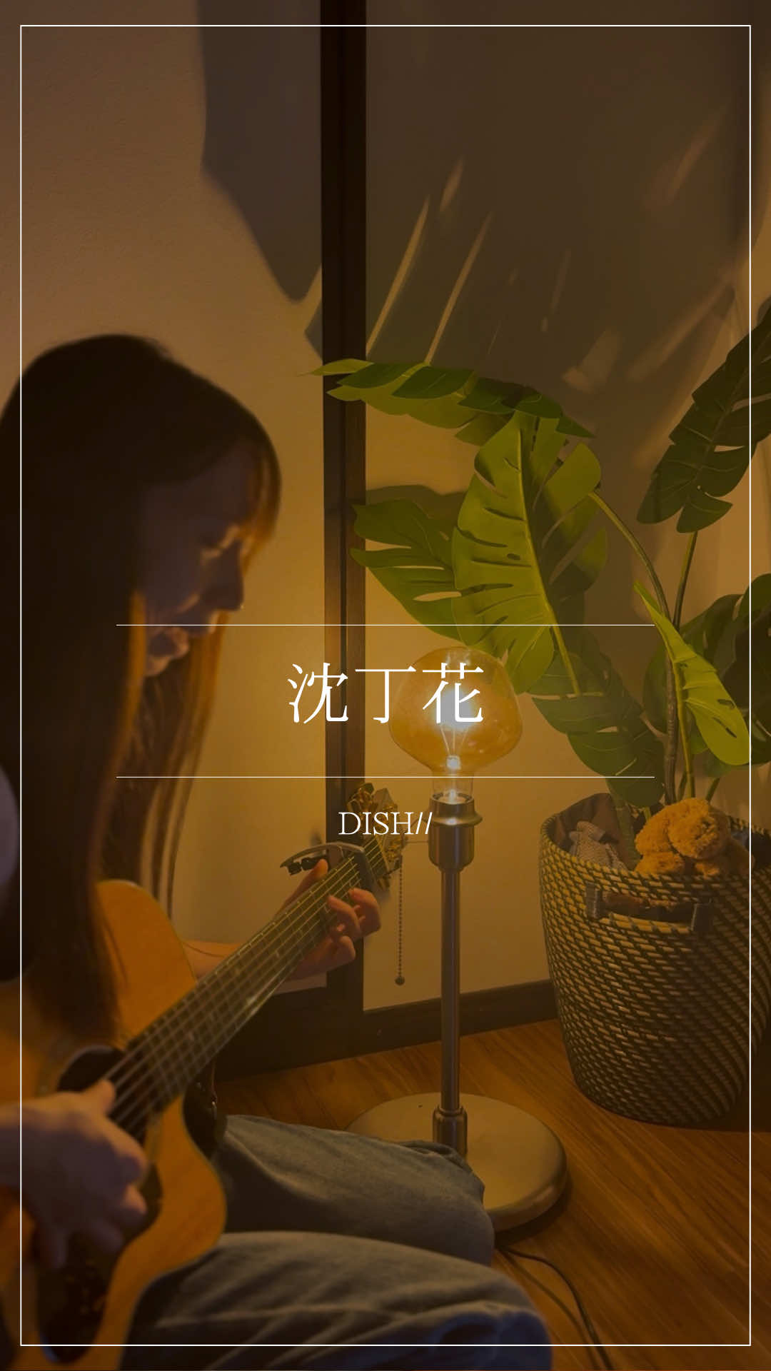 今日もお疲れさまでした🌙 沈丁花 DISH// ハナフサマユ #弾き語り #歌ってみた