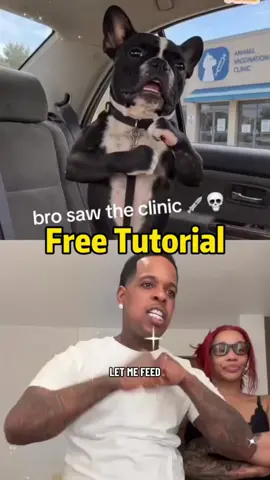 #capcut #capcutpioneer if you grab a bite you tutorial ai dog tutorial ion think he playin That ain't no dog it's ah Dawg if you grab a bite you ai dog tutorial if you grab a bite you ai dog Tutorial, Follow me to use this template if you grab a bite you how to ai dog if you grab a bite you how ai dog if you grab a bite you tutorial if you grab a bite you original ai if you grab a bite you ai dog beagle finesse2tymes bite you tutorial finesse2tymes bite you use filter if you grab a bite you original filter if you grab a bite you how to original if you grab a bite you original dog if you grabe me imma bite you dawg Just let me fade you, just let me fade you, don't grab me. If you grab me, I'm gonna bite you. finesse just let me fade you finesse just let me fade you ai filtrer finesse2tymes feed you finesse just let me fade you finesse finesse just let me fade you finesse just let me fade you baby finesse just let me fade you trend ai finesse just let me fade you ai finesse just let me fade you ai baby tut finesse fadez finesse just let me fade you #dogsoftiktok #Ifyougrababiteyou #dawg