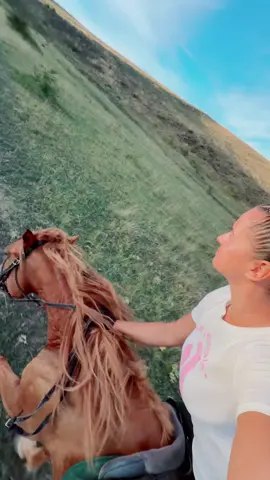 #fyp #viral_video #virall #foryou #stallion 