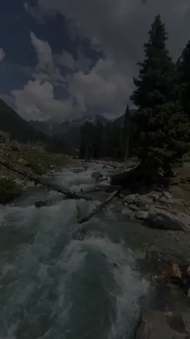 کچھ لوگ ہمارے پاس اکر ہمیں بس یہی یاد دلاتے ہیں کہ کوئی کسی کا نہیں ہوتا سب اپنے مطلب تک ہی ساتھ چلتے ہیں لوگوں کا تو کام ہے ساتھ چل کر آدھے راستے میں چھوڑ جانا-🙂.                   #foryou #foryoupage #virel #ghanikhanbaba #unfreezedmyaccount 