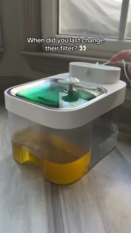 youll never have to worry about a nasty filter AGAIN #PetWaterFountain #CatFountain #PetCare #PetParents #TikTokShopFinds