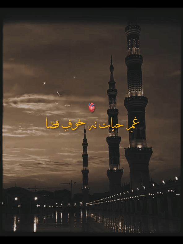Tajalliyo Ki Ajab Hai Fiza Madinah me 🥹💞 Tajdar e Haram 💝 #naat #hamd #tajdareharam #نعت #islamic_media 