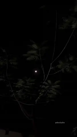هو هاڻ اسانجو نه ٿي سگهندو اهو ڄاڻون ٿا مگر هن دل کي اهو ڪير سمجھائي ته هو هاڻ مون کان الاهي ڏور هليو ويو آهي. اسان ٻنهي اهڙا حالات پيدا ڪري ڇڏيا آهن جو هاڻ اسان چاهي به نٿا ملي سگهون. آئون ته اڃان هن جي انتظار مان نه نڪري سگهيس جڏهن ته هو مون کي وساري اڳتي وڌي ويو آهي. مون هن لاءِ الاهي چا چا سٺو، دنيا جا طعنا ميڻا هر شي پر هو ته مونسان ائين هليو، جو ائين ته ڪو ڪنهن سان به ناهي ڪندو. هو مونسان ائين هليو جو ائين ته ڪو ڪنهن سان به ناهي ڪندو. مان ته هن کي پنهنجو سڀ ڪجهه مڃي چڪي هئس پر هن مونسان ڪڏهن به وفا نه ڪئي. مگر افسوس جو هو اڳتي هليو ويو، مون جام رشتو بچائڻ جي ڪوشش ڪئي پر هو نه سمجھي سگهيو. هو اڄ ڪيئن هوندو، ڪهڙي حال ۾ هوندو، هن ڪڏهن منهنجي حال پڇڻ به مناسب نه سمجھيو. هن ائين وساري ڇڏيو ڄڻ ڪڏهن مليا ئي نه هجون. يقين ڪيو ڪڏهن به ڪنهن کي پاڻ کان وڌيڪ ويجھو نه ڪجو ۽ پاڻ کان وڌيڪ نه چاهجو، جو هن جي لاءِ توهان پاڻ کي به وساري ڇڏيو. ڇو ته آخري ۾ ماڻهو ڇڏي ويندا آهن ۽ پوءِ اسان ڪٿي جا به نٿا رهون. زندگي ۾ جيڪا شيءِ چاهي مون کي ملي پر هڪ ان شخص جي چاهت مون کي ذهني مريض بڻائي ڇڏيو.  #fyp #trending #fypp #sindhisong #rajabfaqeer 