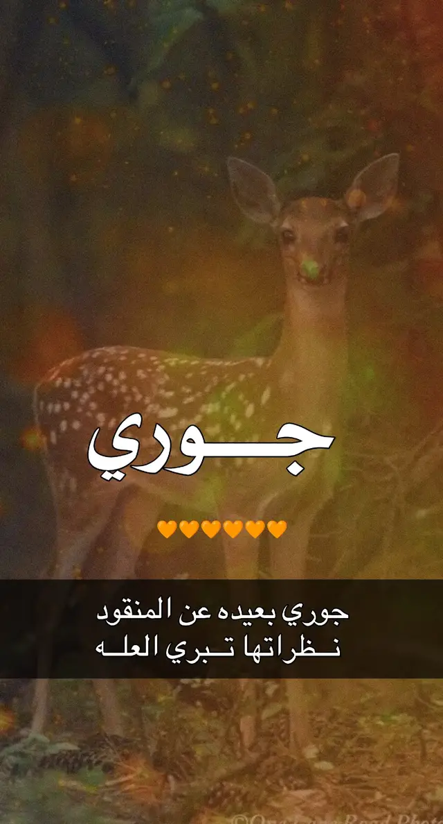 #شيلات_مدح #شيلات_زواج #شيلات_حماسيه #زفات_عرايس #fffffffffffyyyyyyyyyyypppppppppppp 